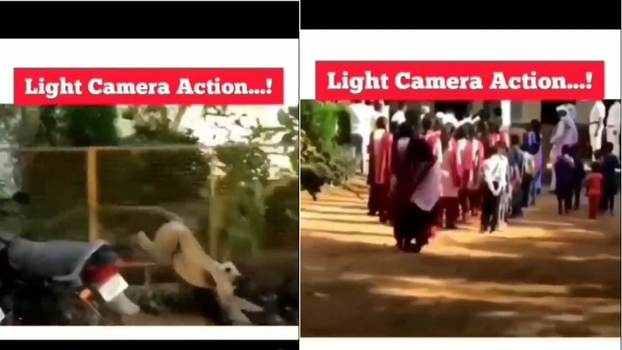 Funny Viral Video : લંગુરે છોકરીને માર્યો જોરથી ધક્કો, વીડિયો જોઇ સૌ કોઇ હસી હસીને લોટ પોટ થયા