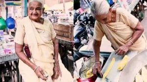 Viral Video: ફાફડા વેચીને ઘર ચલાવતા આ દાદીનો વીડિયો થયો વાયરલ, દાદીની હિંમત જોઈને તમે પણ દંગ રહી જશો