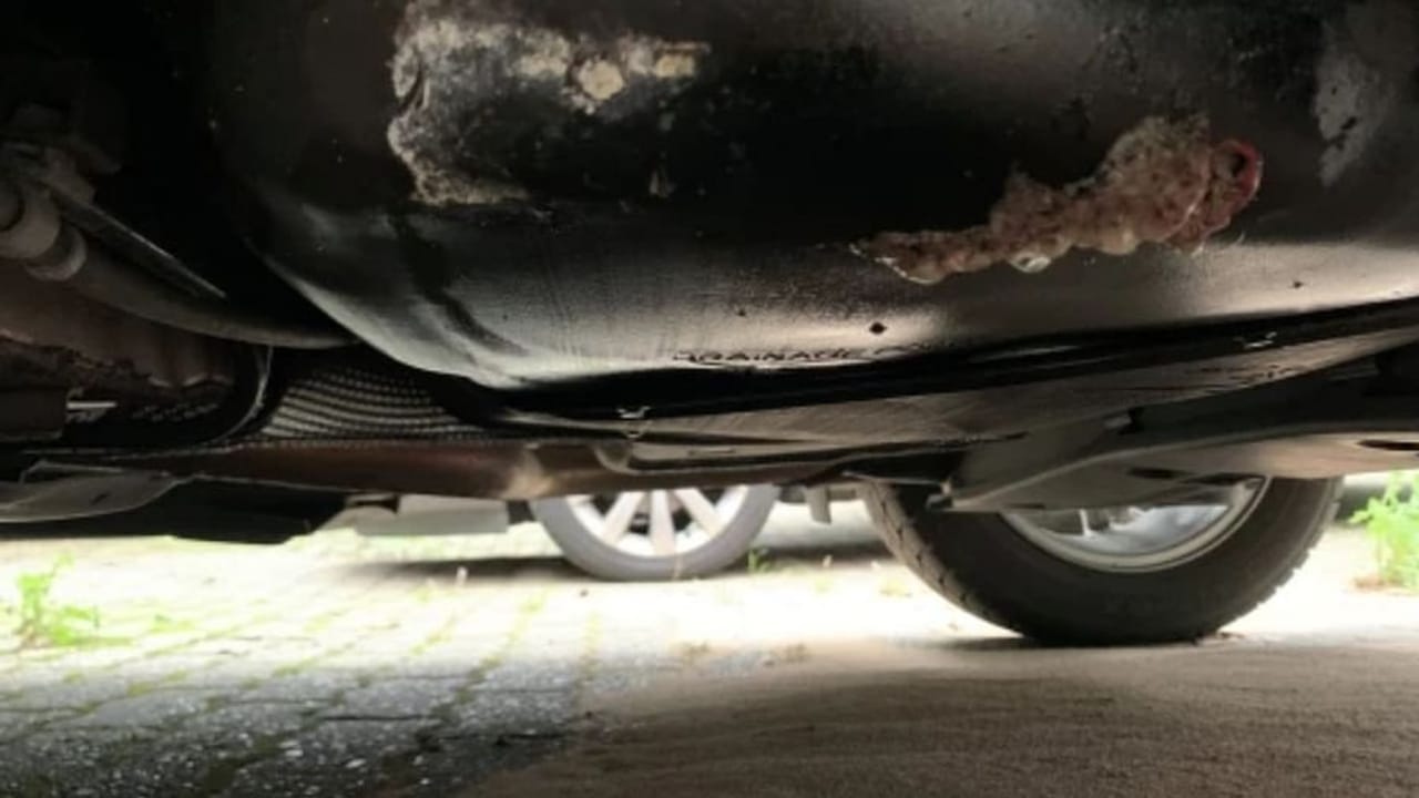 OMG !! કારની ટાંકી ફુલ કરાવીને છોકરીએ ફેસબુક પર શેર કરી તસવીર, ચોરી થઇ ગયુ પેટ્રોલ