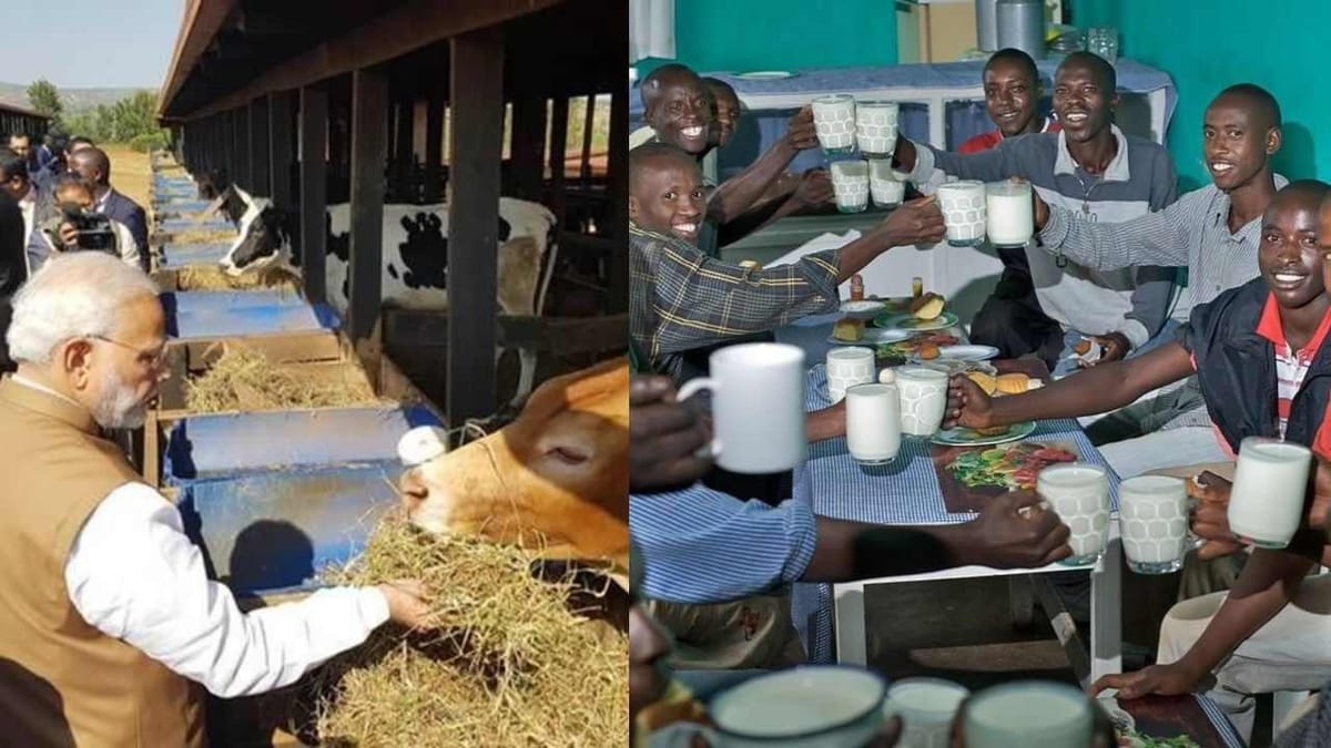 OMG ! અહીંના બારમાં દારૂની જગ્યાએ લોકો દૂધ પીવે છે, પીએમ મોદીએ આ દેશને 200 ગાયો દાન આપી છે