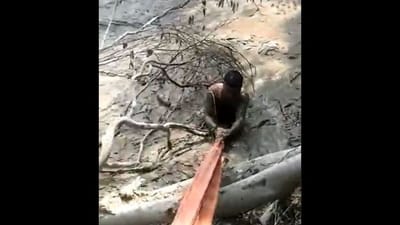 Rescue Video : યમુનાના દલદલમાં ફસાઇ વ્યક્તિ, દિલ્લી પોલીસના જવાને બહાદૂરી પૂર્વક બચાવ્યો જીવ