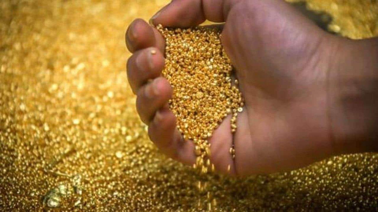 OMG ! 500 ગ્રામ સોનાના ચોખા ફેંકી દીધા આ વ્યક્તિએ, કારણ જાણીને તમે પણ વિચારમાં પડી જશો