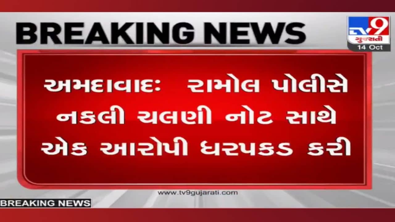 સાવધાન: બજારમાં નકલી નોટો ફેરવતો શખ્સ ઝડપાયો, આટલા લાખની ફેક નોટોનો સોદો કરવા આવ્યો હતો