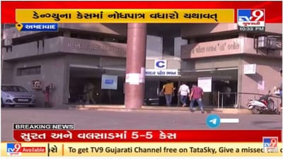 અમદાવાદ શહેરમાં 9 દિવસમાં ડેન્ગ્યુના 170 અને ચિકનગુનિયાના 69 કેસ નોંધાયા