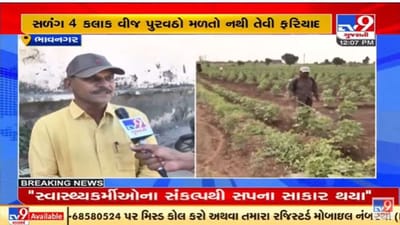 ભાવનગર જિલ્લાના ખેડૂતો અપૂરતી વીજળીથી પરેશાન, પૂરતી વીજળી આપવા માંગ