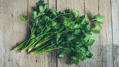 Kitchen Hacks : કોથમીર એક દિવસમાં જ સુકાઈ જાય છે, તો આ ભૂલોને પહેલા સુધારો