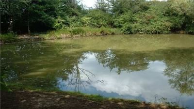 તળાવમાંથી વીજળી ઉત્પન્ન કરે છે આ ખેડૂત, ખેતરમાં નથી એક પણ બોરવેલ, જાણો કઈ રીતે કાઢ્યો રસ્તો