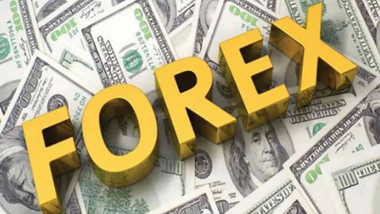 Foreign Exchange Reserves: આ અઠવાડીયે વિદેશી મુદ્રા ભંડારમાં આવ્યો 91 લાખ ડોલરનો ઘટાડો, જાણો RBIના ખજાનામાં કેટલું બચ્યુ છે રીઝર્વ