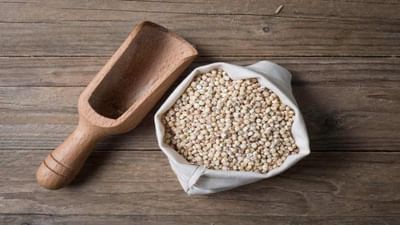 Health : ઘઉંના ઉત્તમ વિકલ્પ તરીકે જુવાર શા માટે શ્રેષ્ઠ છે ? આ રહ્યા તેના કારણો