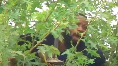 પોલીસ પકડવા આવી તો ઝાડ પર ચઢી ગયો આરોપી, 24 કલાક સુધી પોલીસ નીચે ઉતારવા પ્રયત્નો કરતી રહી