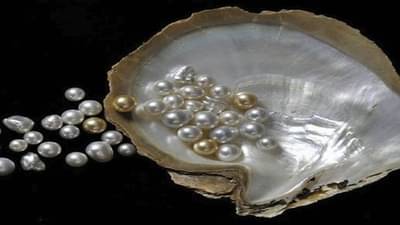 Pearl Farming: મોતીની ખેતીથી માલામાલ થઇ રહ્યા છે ખેડૂતો, જાણો આ ખેતી વિશેની સંપૂર્ણ જાણકારી