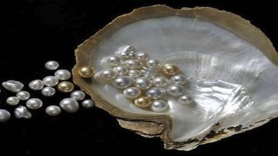 Pearl Farming: મોતીની ખેતીથી માલામાલ થઇ રહ્યા છે ખેડૂતો, જાણો આ ખેતી વિશેની સંપૂર્ણ જાણકારી