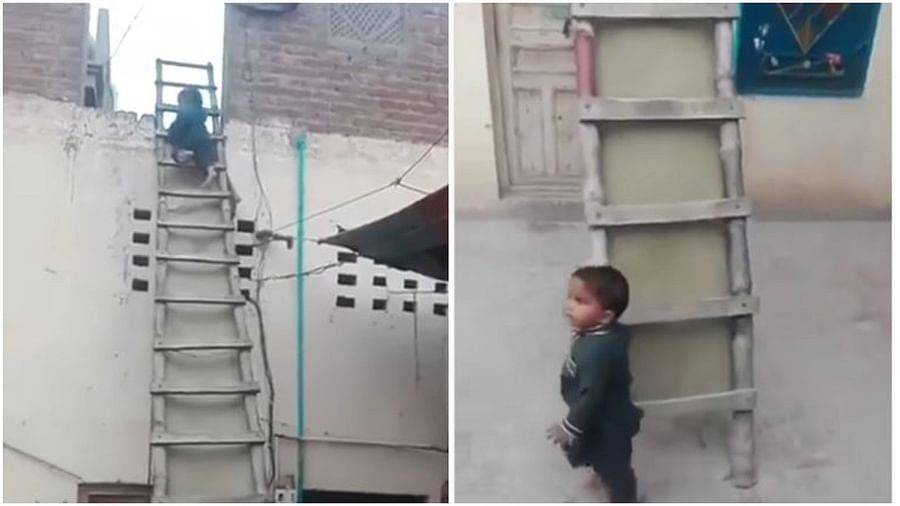 Viral Video: ધાબા પરથી નીચે ઉતરવા દોઢ વર્ષના બાળકે લગાવ્યુ ગજબનું દિમાગ, વીડિયો જઇ તમે પણ વિચારમાં પડી જશો