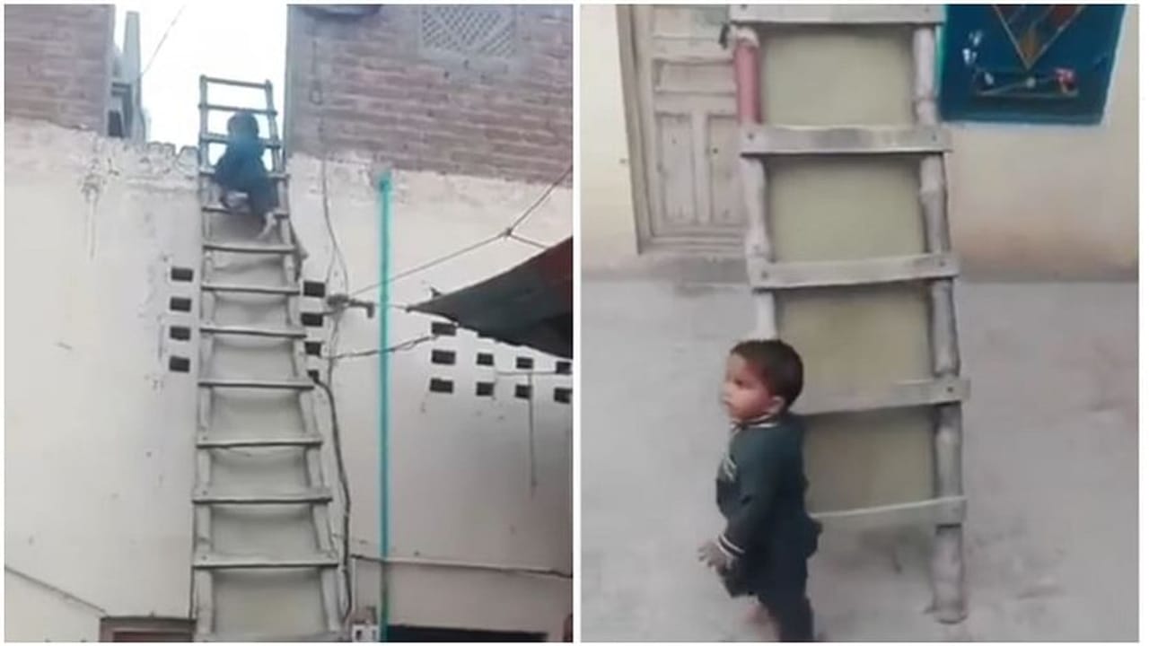 Viral Video: ધાબા પરથી નીચે ઉતરવા દોઢ વર્ષના બાળકે લગાવ્યુ ગજબનું દિમાગ, વીડિયો જઇ તમે પણ વિચારમાં પડી જશો