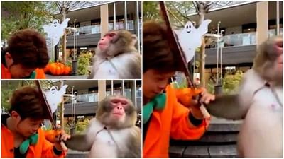 Funny Video : ટ્રેનિંગ દરમિયાન વાંદરાએ તેના ટ્રેનરને ફટકારી દીધો, વીડિયો જોઇ તમે પણ હસી પડશો