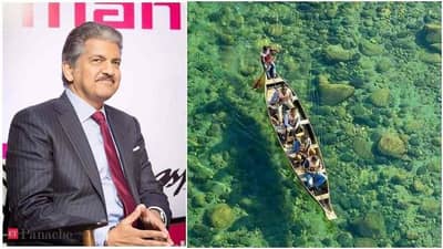 Viral Video : આ કાચ જેવી સાફ નદી જોઇને ચોંક્યા આનંદ મહિન્દ્રા, ટ્વીટ કરીને આપ્યો આ ખાસ મેસેજ