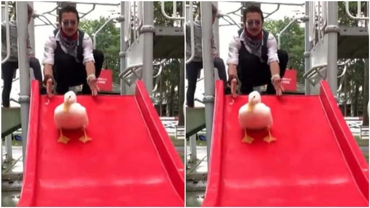Viral Video : બતકે ઝૂલા પર રમીને નાના બાળકની જેમ લીધી મજા, વીડિયો જોઇને લોકો બોલ્યા...So Cute