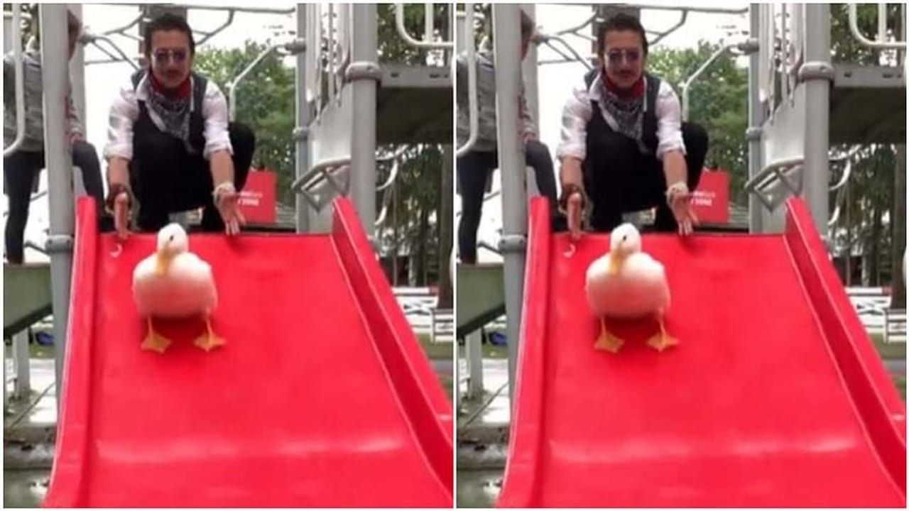 Viral Video : બતકે ઝૂલા પર રમીને નાના બાળકની જેમ લીધી મજા, વીડિયો જોઇને લોકો બોલ્યા...So Cute