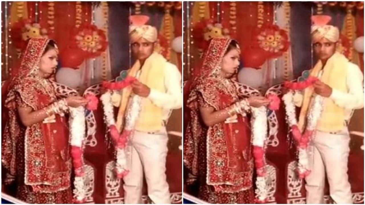 Viral Video: વરમાળા દરમિયાન વરરાજા અને દુલ્હન ઝગડી પડ્યા, લોકો બોલ્યા હમણાંથી જ આ હાલ તો આગળ જઇને શું થશે ?