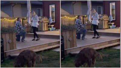 Funny Viral Video : બોયફ્રેન્ડ કરી રહ્યો હતો તેની ગર્લફ્રેન્ડને પ્રપોઝ, અને ડોગીએ વચ્ચે આવીને કરી દીધુ સુસુ