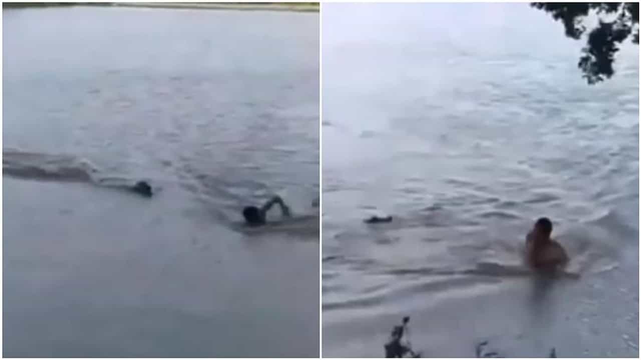 Viral Video : નદીમાં તરી રહ્યો હતો વ્યક્તિ અને અચાનક મગરે કરી દીધો હુમલો, જુઓ વીડિયો