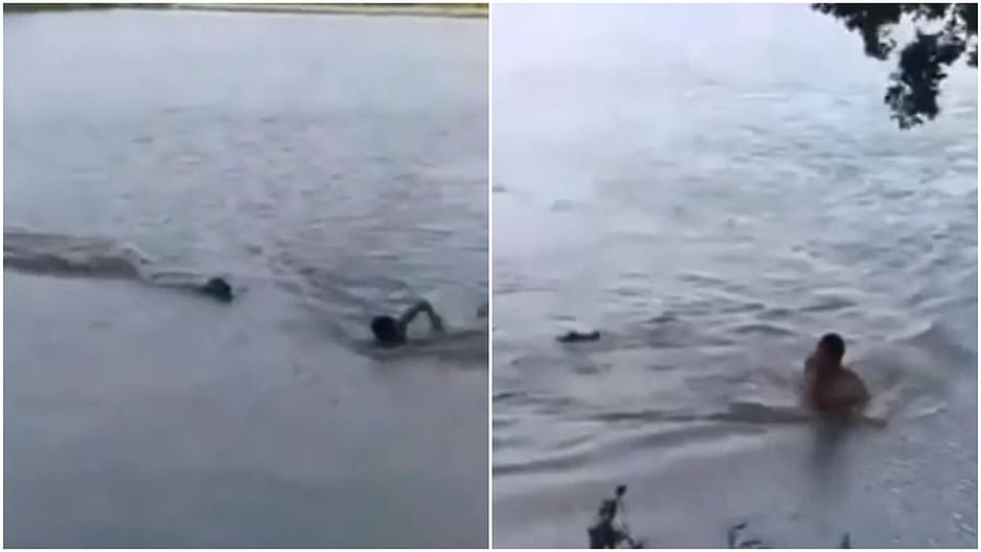 Viral Video : નદીમાં તરી રહ્યો હતો વ્યક્તિ અને અચાનક મગરે કરી દીધો હુમલો, જુઓ વીડિયો