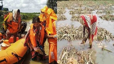 'ગુલાબ' વાવાઝોડાએ વેર્યો વિનાશ !  30 લાખ હેક્ટર ખેતીલાયક જમીનને નુકસાન થતા તાતની વધી મુશ્કેલી