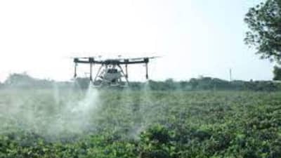 Bhavnagar: ભાવનગરના ખેતરોમાં ડ્રોન દ્વારા નેનો યુરિયાનો પ્રથમ છંટકાવ, મનસુખ માંડવિયાએ કહ્યું - ખેડૂતોની સારી બચત થશે