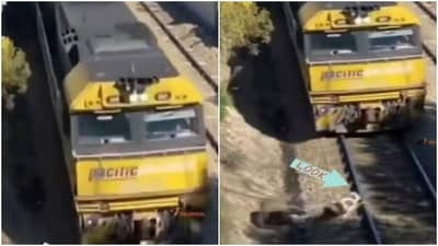 OMG ! પાટા પર ફસાયેલા શ્વાનનો આ વ્યક્તિએ બચાવ્યો જીવ, 2 સેકન્ડ પણ મોડું થયુ હોત તો બંનેનો જીવ જતો