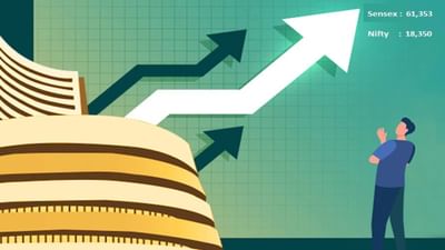 Stock Market માં અકલ્પનિય તેજી યથાવત રહેશે કે આવશે ચોંકાવનારો ઘટાડો? જાણો શું છે નિષ્ણાંતનો અભિપ્રાય અને રોકાણકારો માટે સલાહ