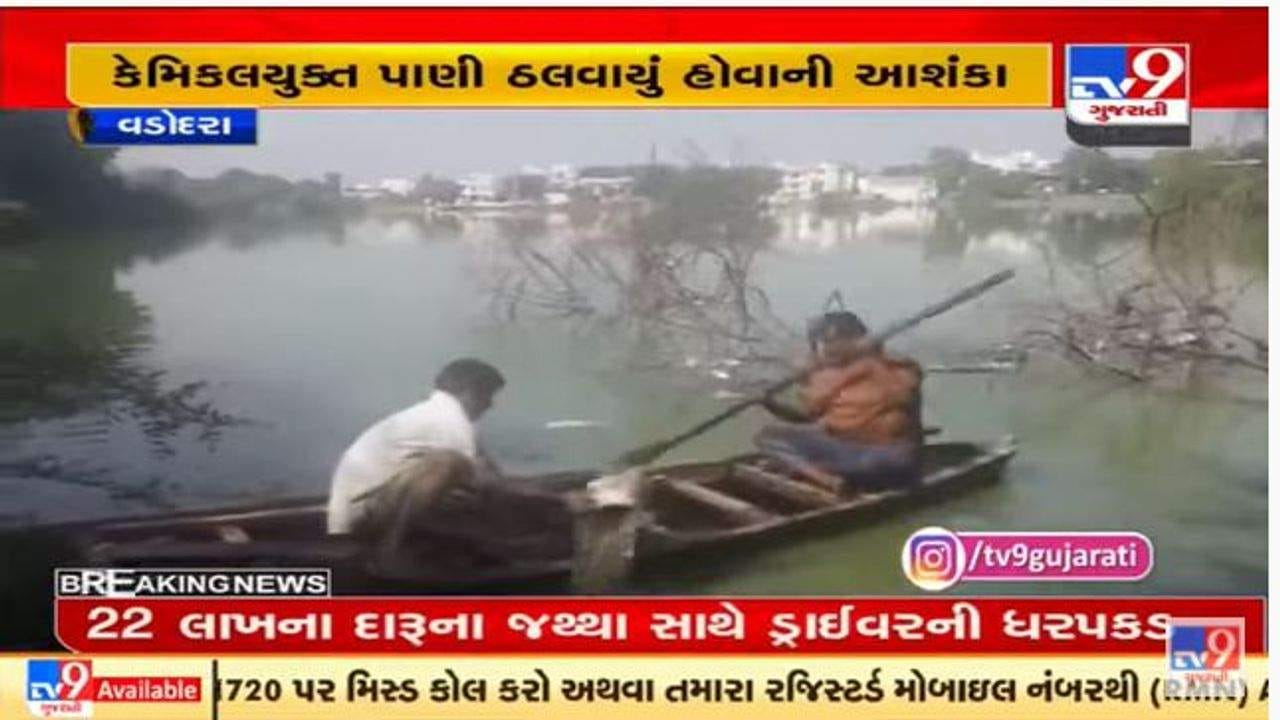 વડોદરાના ઉંડેરાત ગામના તળાવમાં હજારો માછલીઓના મોત, તપાસની માંગ વડોદરાના ઉંડેરાત ગામના તળાવમાં હજારો માછલીઓના મોત, તપાસની માંગ