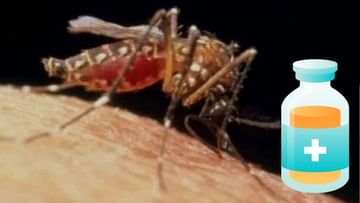 Malaria Vaccine: WHO એ બાળકો માટે વિશ્વની પ્રથમ મેલેરિયા વેક્સિનના ઉપયોગને આપી મંજુરી, જાણો વધુ માહિતી