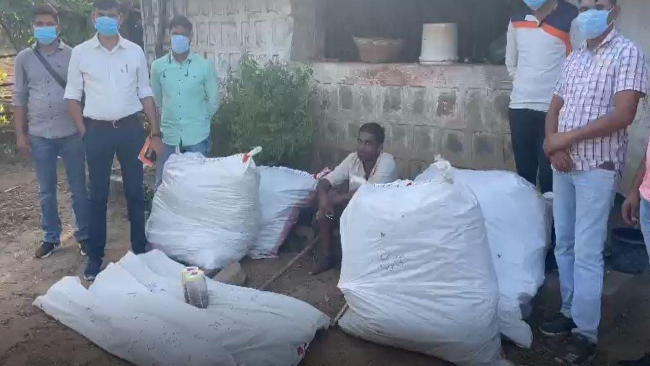 દાહોદ : લીમખેડામાં ગાંજાના વાવેતરનો પર્દાફાશ, અઠવાડિયા પહેલા જ 3 ગાંજાના ખેતર ઝડપાયા હતા