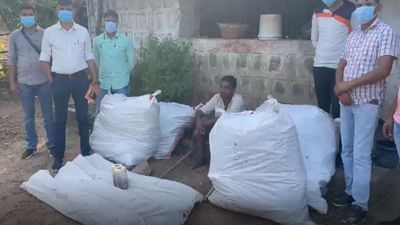 દાહોદ : લીમખેડામાં ગાંજાના વાવેતરનો પર્દાફાશ, અઠવાડિયા પહેલા જ 3 ગાંજાના ખેતર ઝડપાયા હતા