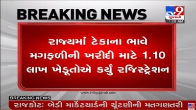 મગફળીના ટેકાના ભાવ માટે 1 લાખ 10 હજાર 243 રજિસ્ટ્રેશન થયા, સૌથી વધુ રજિસ્ટ્રેશન રાજકોટમાં થયું મગફળીના ટેકાના ભાવ માટે 1 લાખ 10 હજાર 243 રજિસ્ટ્રેશન થયા, સૌથી વધુ રજિસ્ટ્રેશન રાજકોટમાં થયું