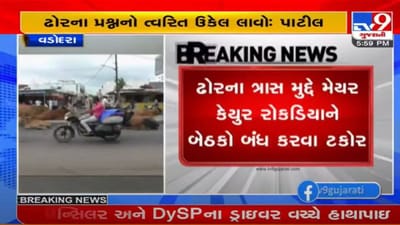 વડોદરાઃ રખડતા ઢોર મામલે ભાજપ પ્રદેશ પ્રમુખનું અલ્ટીમેટમ, 10 દિવસમાં રખડતા ઢોર દૂર થવા જોઇએઃ પાટીલ