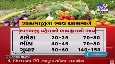 Rajkot : મોંઘવારીમાં પિસાતી સામાન્ય જનતા, તહેવારો ટાણે જ શાકભાજીના ભાવમાં વધારો Rajkot : મોંઘવારીમાં પિસાતી સામાન્ય જનતા, તહેવારો ટાણે જ શાકભાજીના ભાવમાં વધારો