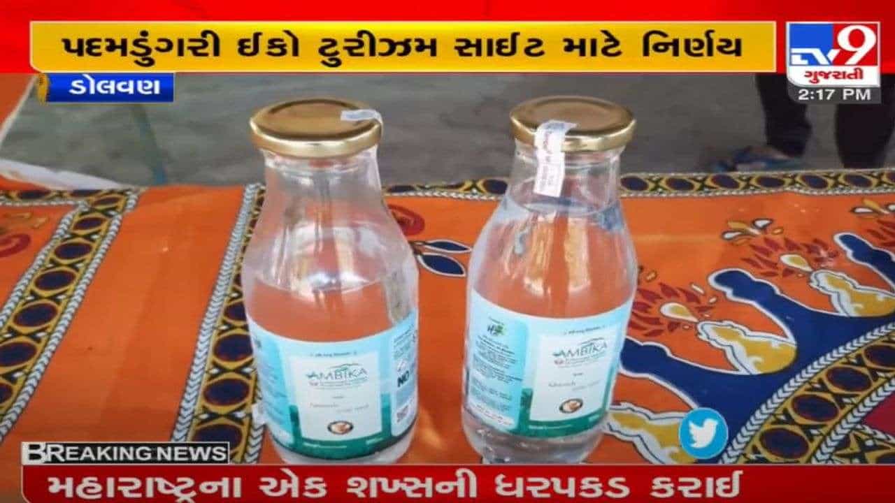 તાપી : સિંગલ યુઝ પ્લાસ્ટીક ફ્રી ઝોન, પદમડુંગરી ઈકો ટુરીઝમ સાઈટ માટે નિર્ણય