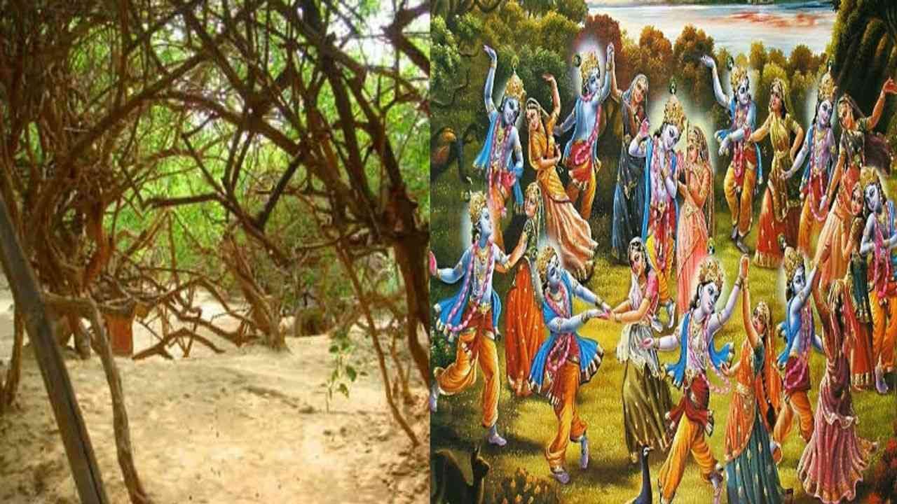 UP: શ્રી ક્રૃષ્ણ નગરીમાં ધાર્મિક આસ્થા સાથે રમત, વૃંદાવનના 'નિધિવન'માં વિડીયો બનાવવા મામલે 5 લોકો સામે FIR, જાણો સમગ્ર મામલો