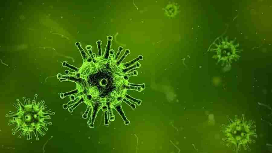 Omicron Variant: કોરોના વાયરસના નવા વેરિઅન્ટ ઓમિક્રોન અંગે WHO એ હાઈ રિસ્ક ચેતવણી જાહેર કરી