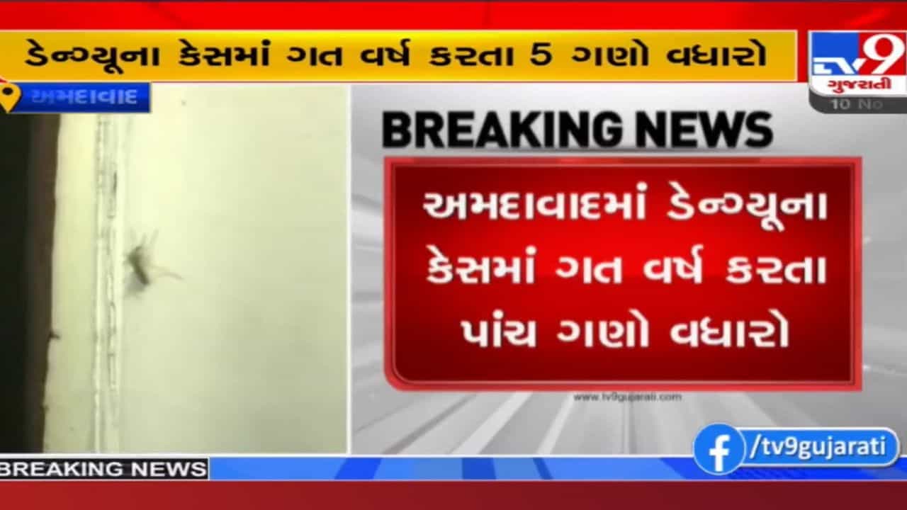 Ahmedabad: મચ્છર અને પાણીજન્ય રોગચાળો વકર્યો, ડેન્ગ્યુ, ચિકનગુનિયા, ટાઈફોઈડ, કમળાના દર્દીઓની લાઈન