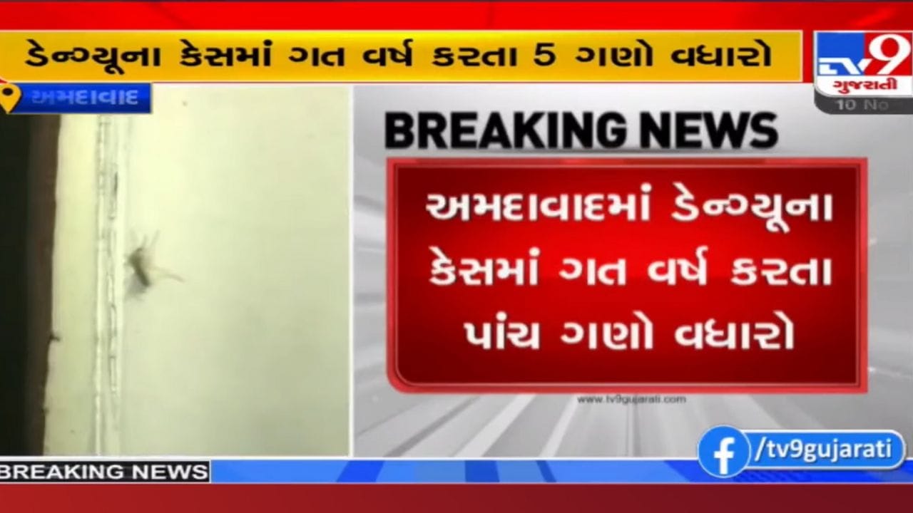 Ahmedabad: મચ્છર અને પાણીજન્ય રોગચાળો વકર્યો, ડેન્ગ્યુ, ચિકનગુનિયા, ટાઈફોઈડ, કમળાના દર્દીઓની લાઈન Ahmedabad: મચ્છર અને પાણીજન્ય રોગચાળો વકર્યો, ડેન્ગ્યુ, ચિકનગુનિયા, ટાઈફોઈડ, કમળાના દર્દીઓની લાઈન