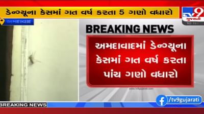 Ahmedabad: મચ્છર અને પાણીજન્ય રોગચાળો વકર્યો, ડેન્ગ્યુ, ચિકનગુનિયા, ટાઈફોઈડ, કમળાના દર્દીઓની લાઈન Ahmedabad: મચ્છર અને પાણીજન્ય રોગચાળો વકર્યો, ડેન્ગ્યુ, ચિકનગુનિયા, ટાઈફોઈડ, કમળાના દર્દીઓની લાઈન