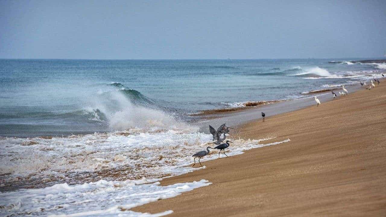 ભાઈબીજના દિવસે માધવપુર દરિયામાં સ્નાન કરવા પર પ્રતિબંધ, પરંપરા પર પ્રતિબંધથી સ્થાનિકોમાં રોષ