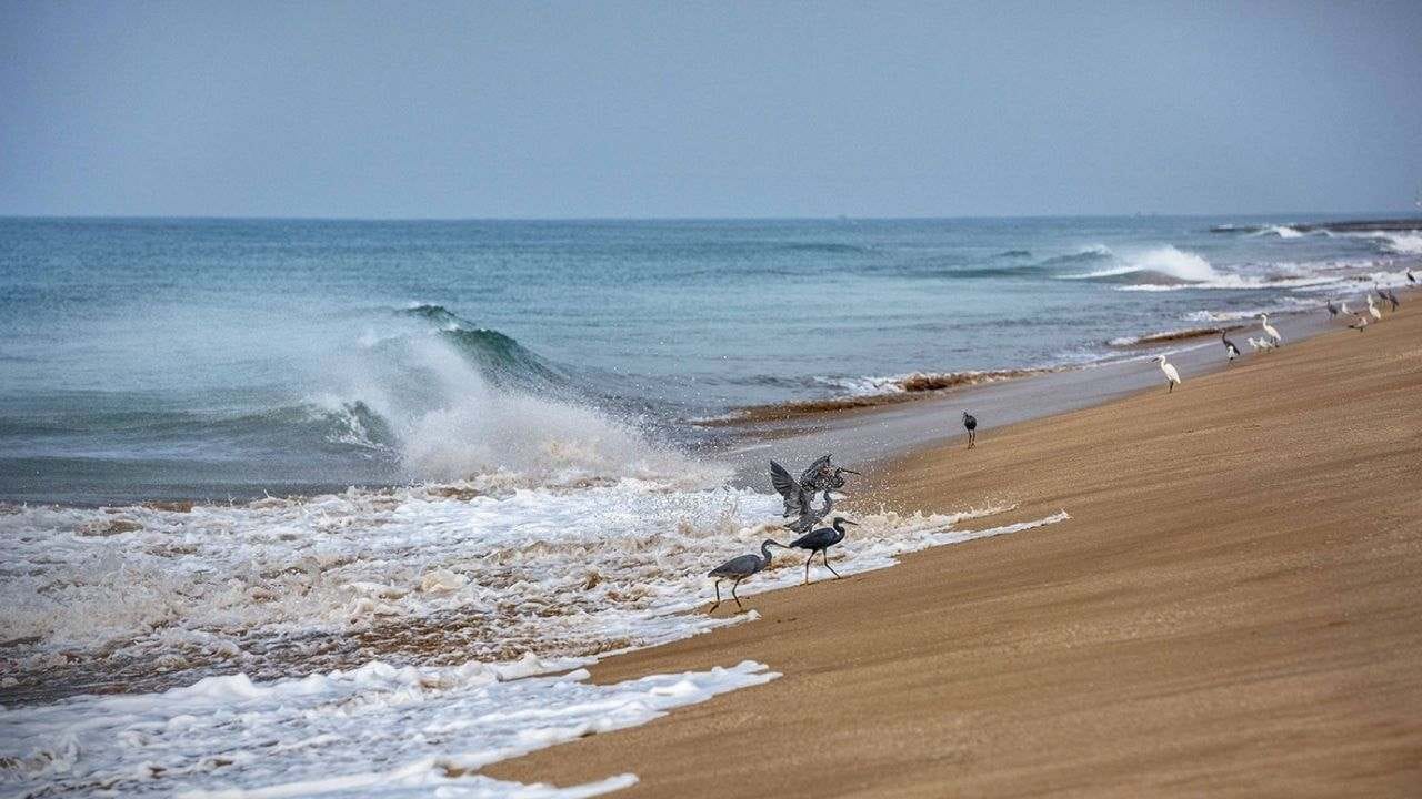 ભાઈબીજના દિવસે માધવપુર દરિયામાં સ્નાન કરવા પર પ્રતિબંધ, પરંપરા પર પ્રતિબંધથી સ્થાનિકોમાં રોષ ભાઈબીજના દિવસે માધવપુર દરિયામાં સ્નાન કરવા પર પ્રતિબંધ, પરંપરા પર પ્રતિબંધથી સ્થાનિકોમાં રોષ