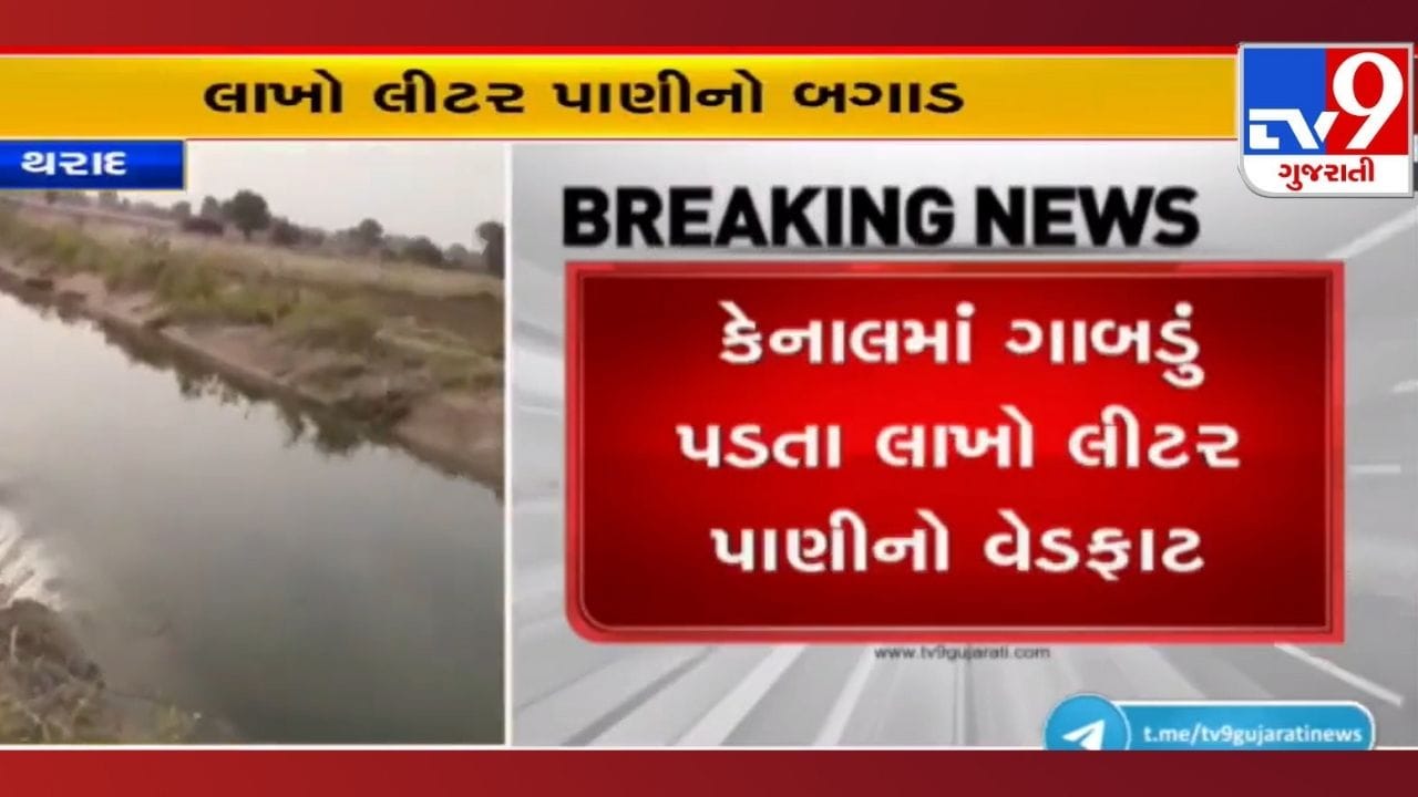 Banaskantha: કેનાલમાં ગાબડું પડતા લાખો લિટર પાણીનો વ્યય, ખેતરોમાં પાણી ભરાતા નુકસાન Banaskantha: કેનાલમાં ગાબડું પડતા લાખો લિટર પાણીનો વ્યય, ખેતરોમાં પાણી ભરાતા નુકસાન