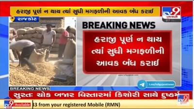 રાજકોટના બેડી માર્કેટ યાર્ડમાં મગફળીની મબલખ આવક, ખેડૂતોને મળી રહ્યા છે સારા ભાવ