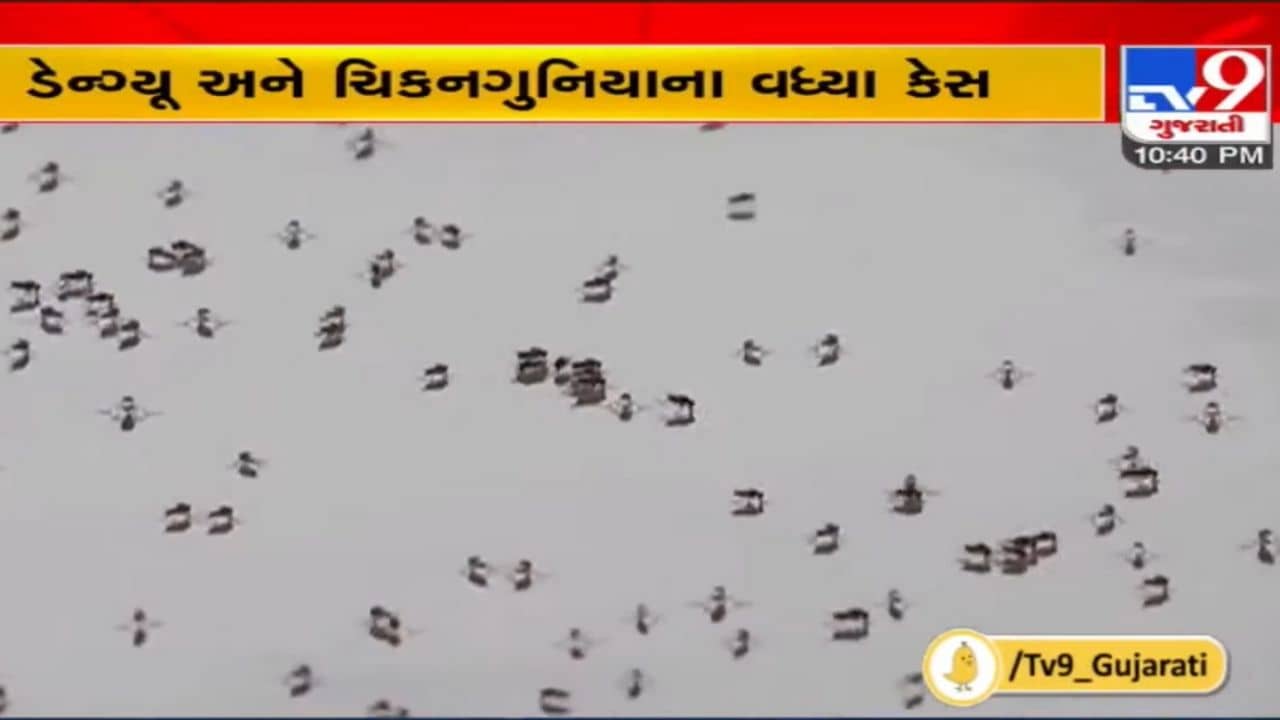 Ahmedabad: મેલેરિયા, ડેન્ગ્યૂ અને ચિકનગુનિયાના સકંજામાં શહેર, જાણો ઓક્ટોબર મહિનામાં કેટલા આવ્યા કેસ