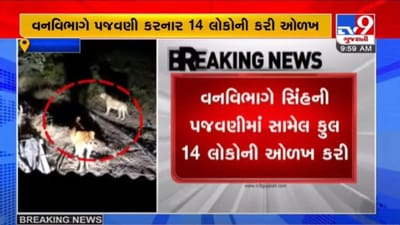 JUNAGADH : સિંહની પજવણીના કેસમાં 3 લોકોની અટકાયત, ફાર્મના માલિક પોલીસકર્મીને સમન્સ