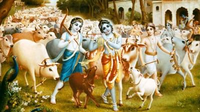Bhakti: શું તમને ખબર છે ગોપાષ્ટમી સાથે જોડાયેલી આ અત્યંત રસપ્રદ કથાઓ ? જાણો ‘ગોપાલ' કૃષ્ણની મહત્તા